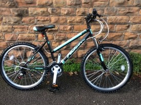 schwinn alto 24